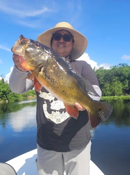 Fishing in Davie, Florida