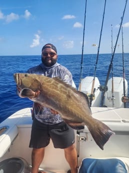 Fishing in Sarasota, Florida