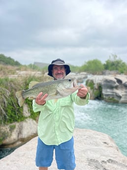 Largemouth Bass Fishing in New Braunfels, Texas