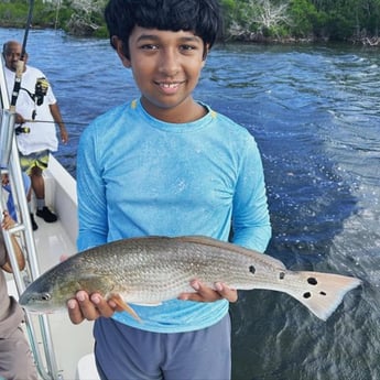 Redfish Fishing in Cape Coral, Florida
