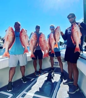 Red Snapper fishing in Destin, Florida