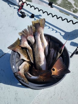 Fishing in Rockport, Texas