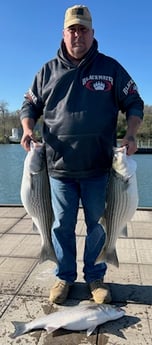 Fishing in Rogers, Arkansas