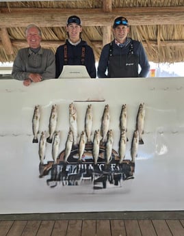 Fishing in Steinhatchee, Florida