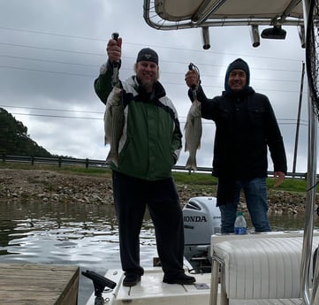 Hybrid Striped Bass fishing in Willis, Texas