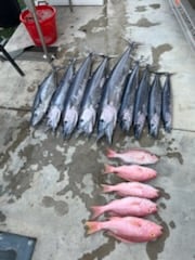 Fishing in Miami Beach, Florida