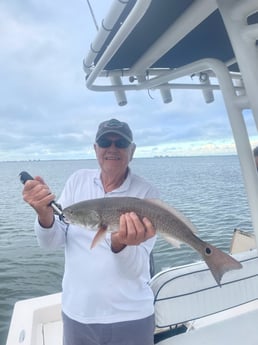 Fishing in Sarasota, Florida