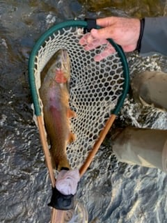 Fishing in Broken Bow, Oklahoma
