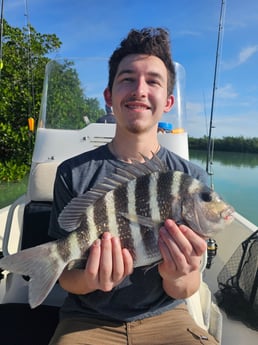 Sheepshead Fishing in Islamorada, Florida