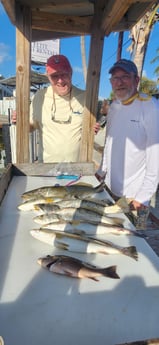 Fishing in Islamorada, Florida