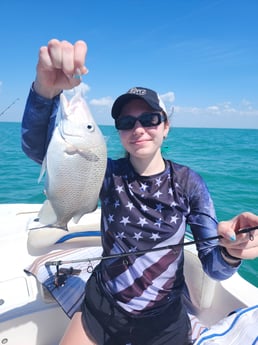 Mangrove Snapper Fishing in