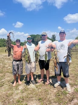 Iguana Fishing in Delray Beach, Florida