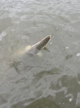 Fishing in Galveston, Texas