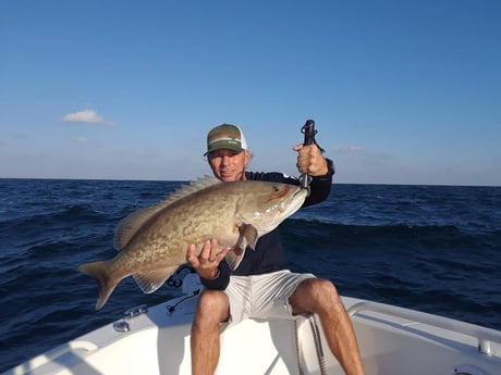 Gag Grouper Fishing in Daytona Beach, Florida