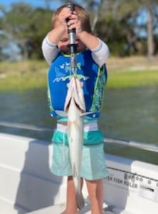 Redfish fishing in Johns Island, South Carolina