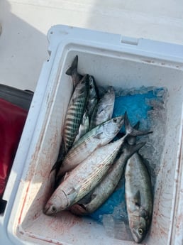 Fishing in Carolina Beach, North Carolina