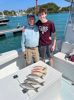 Amberjack, Yellowtail Snapper Fishing in Jupiter, Florida