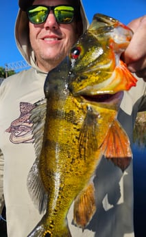 Fishing in Deerfield Beach, Florida