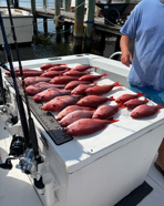 Fishing in Gulf Shores, Alabama
