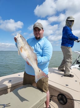 Black Drum fishing in Tiki Island, Texas