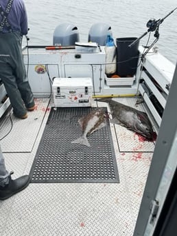 Fishing in Winchester Bay, Oregon