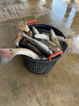 Fishing in Port O&#039;Connor, Texas