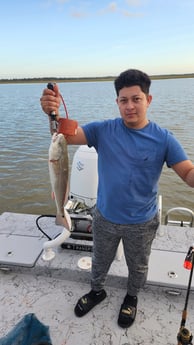 Redfish Fishing in Matagorda, Texas