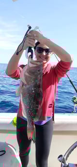 Fishing in Sarasota, Florida