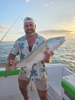 Redfish Fishing in Port Orange, Florida