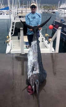 Black Marlin fishing in Kalaoa, Hawaii
