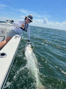 Tarpon Fishing in St. Petersburg, Florida