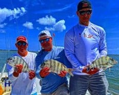 Sheepshead Fishing in Johns Island, South Carolina