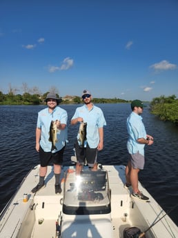 Largemouth Bass Fishing in Wellington, Florida