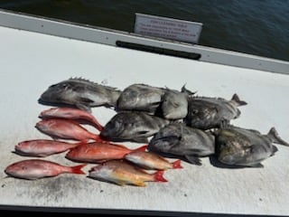 Fishing in Foley, Alabama