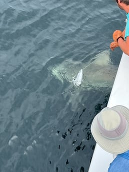 Fishing in Destin, Florida