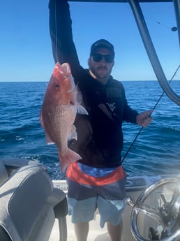 Strawberry Grouper fishing in Fort Walton Beach, Florida