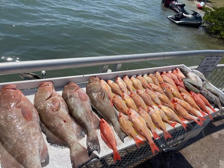 Fishing in Clearwater, Florida