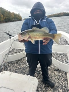 Fishing in Cumming, Georgia