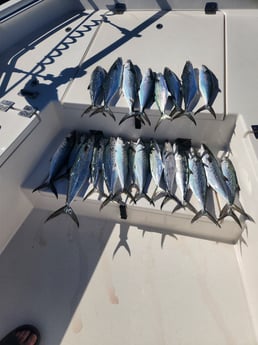 Fishing in Pensacola, Florida