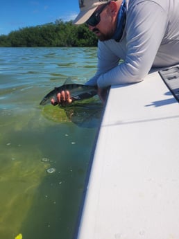Bonefish Fishing in Islamorada, Florida