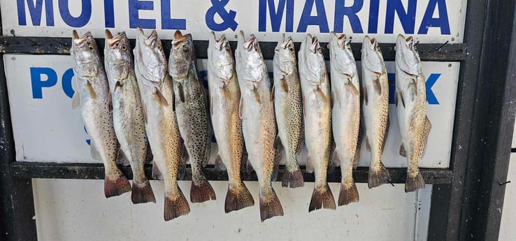 Fishing in South Padre Island, Texas