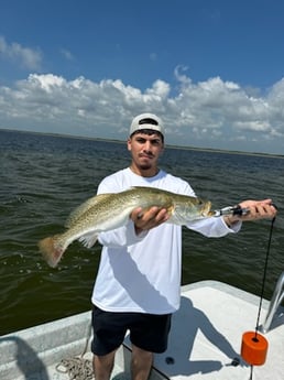 Speckled Trout Fishing in Corpus Christi, Texas
