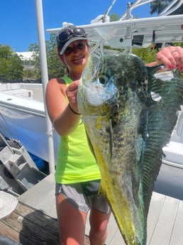 Mahi Mahi Fishing in
