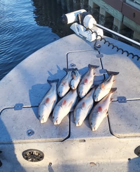 Fishing in Sulphur, Louisiana