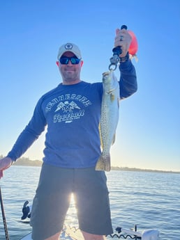 Speckled Trout Fishing in Sarasota, Florida