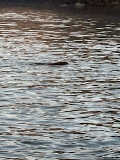 Fishing in Broken Bow, Oklahoma