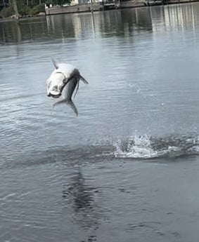 Fishing in New Smyrna Beach, Florida