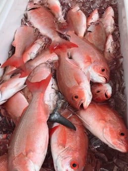 Fishing in Coconut Creek, Florida