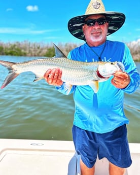 Tarpon Fishing in Cape Coral, Florida