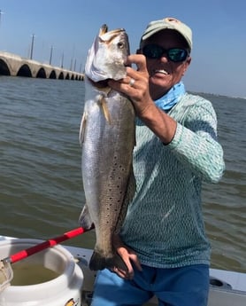 Speckled Trout / Spotted Seatrout fishing in Galveston, Texas